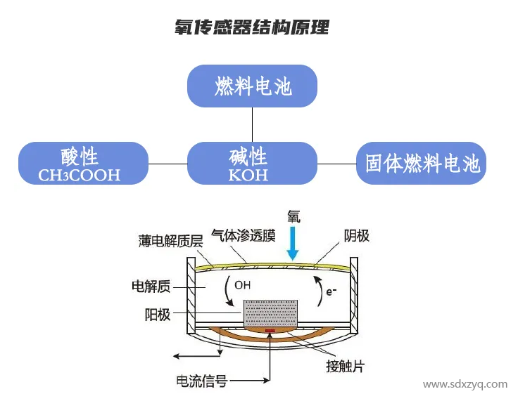 1693388545413291.png 传感器结构原理.png